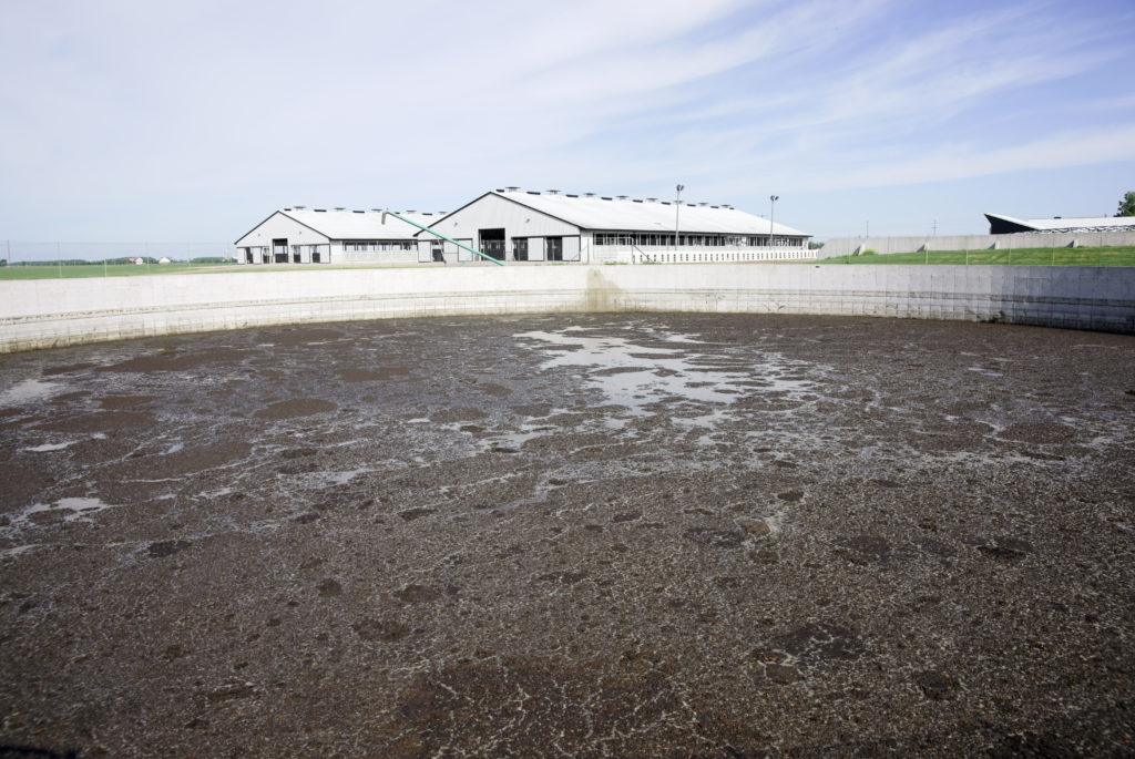 Animal waste lagoon on a modern dairy farm.